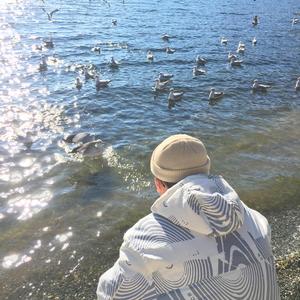 日韩精品手机在线
