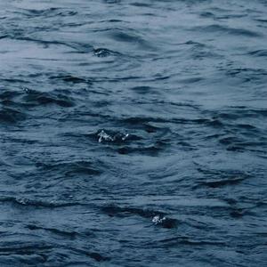 日韩精品手机在线
